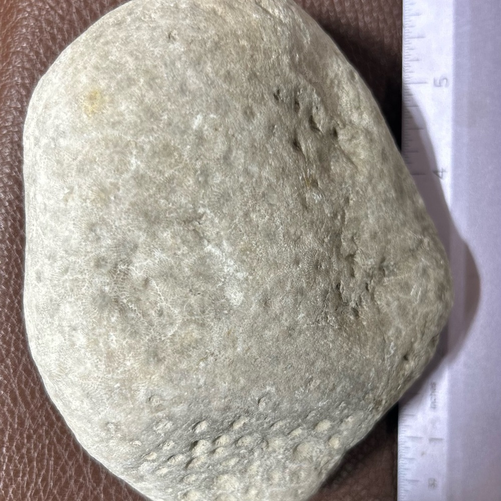 Fossil: Very Rare Petoskey Stone Decor piece 2.86lbs. Raw, Clean not polished.